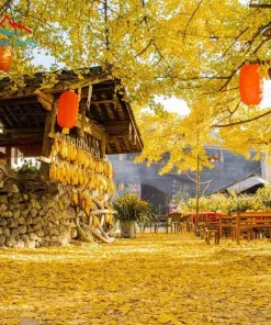 HÀ KHẨU – ĐẠI LÝ – ĐẰNG XUNG – CÔN MINH 5 Ngày 4 Đêm